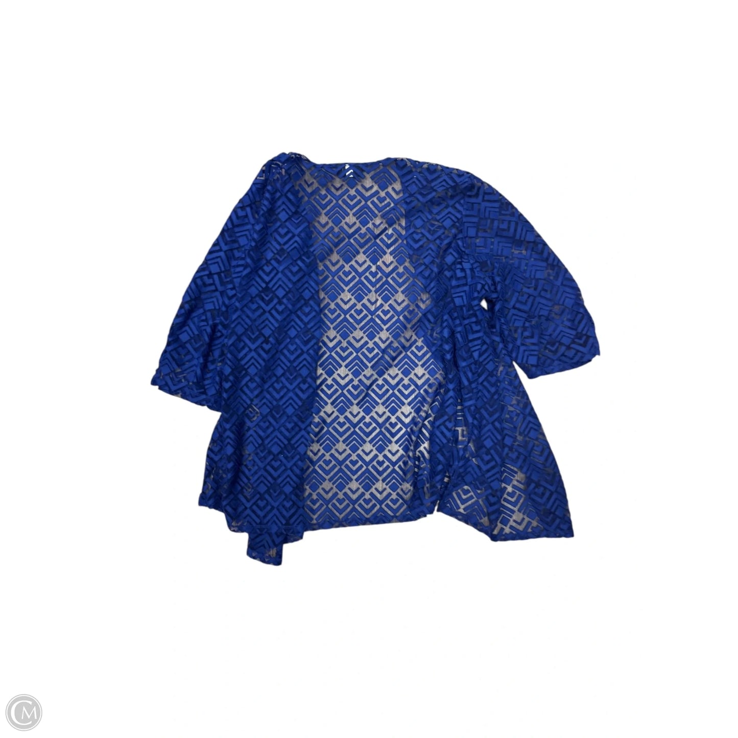 Shawl By Clothes Mentor In Blue, Size: 2x