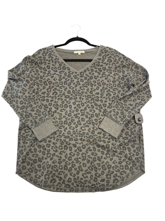 Top Long Sleeve By Z Supply In Grey, Size: Xs