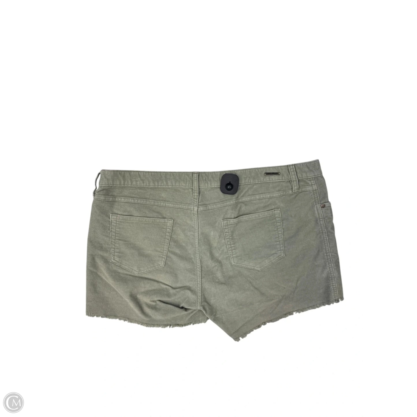 Shorts By Carve Designs In Green, Size: 16