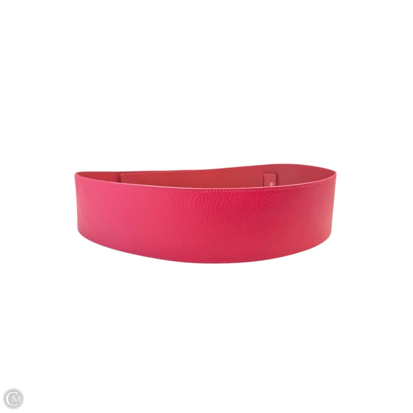 Belt By Clothes Mentor