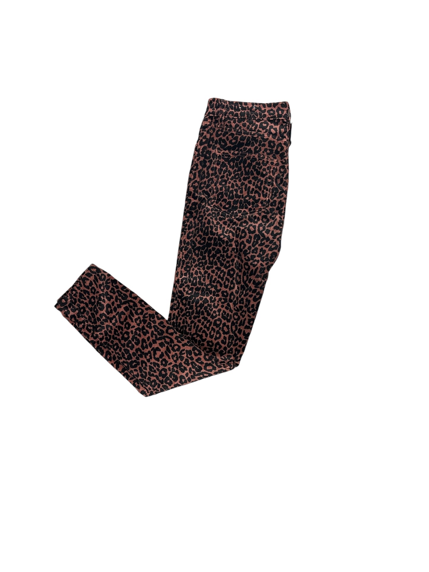 Pants Corduroy By Loft In Animal Print, Size: 4