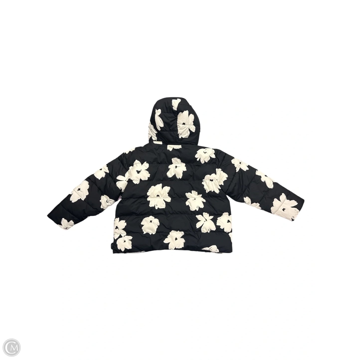 Coat Puffer & Quilted By Ava & Viv In Black, Size: 1x