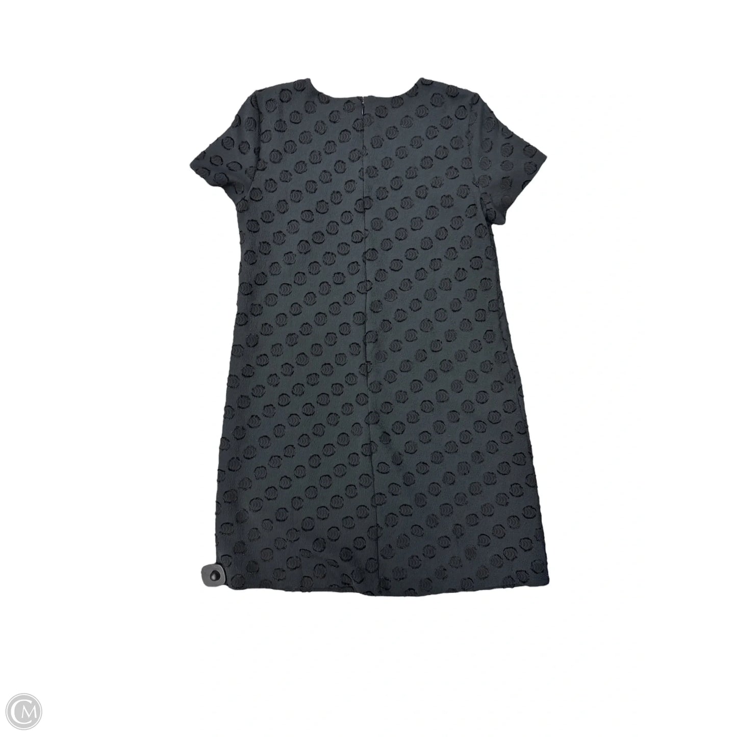 Dress Casual Short By Ann Taylor In Black, Size: 10