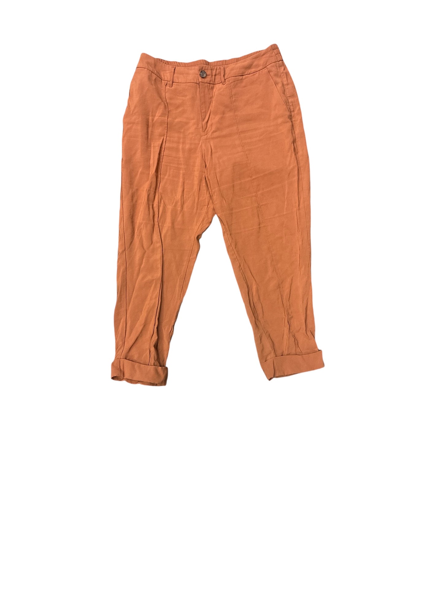 Pants Cargo & Utility By A New Day In Orange, Size: 16